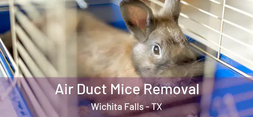 Air Duct Mice Removal Wichita Falls - TX