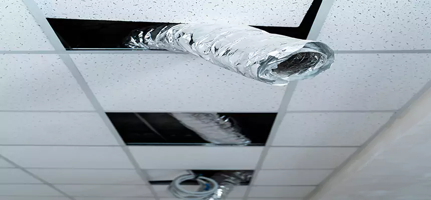 Affordable HVAC Sanitizing After Pest Removal in Wichita Falls