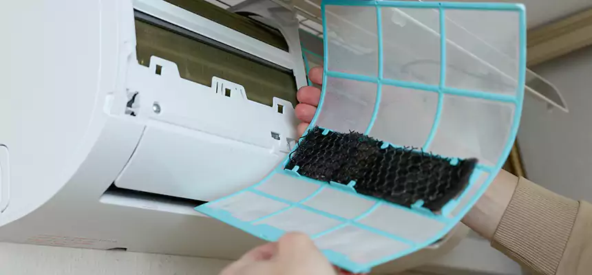 Gentle Ductwork Odor-Control Pet Dander Duct Cleaning in Wichita Falls, TX