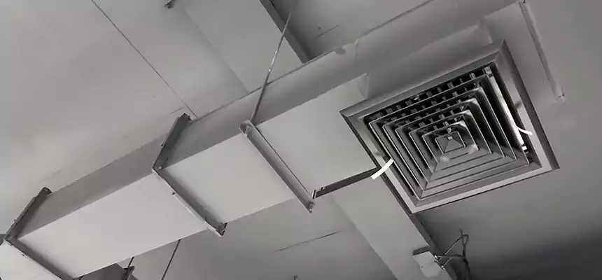 Our Rodent Droppings In Vents Services in Wichita Falls, TX