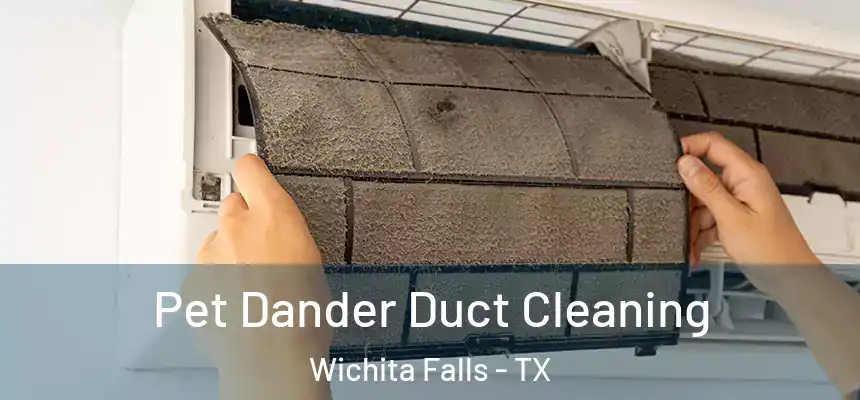 Pet Dander Duct Cleaning Wichita Falls - TX