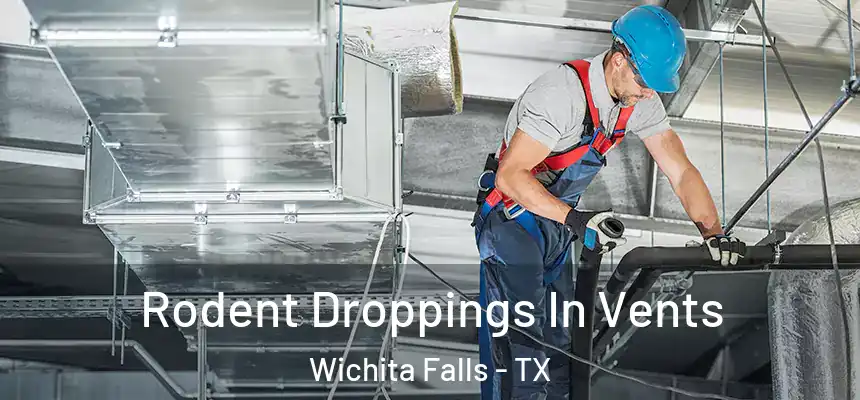  Rodent Droppings In Vents Wichita Falls - TX