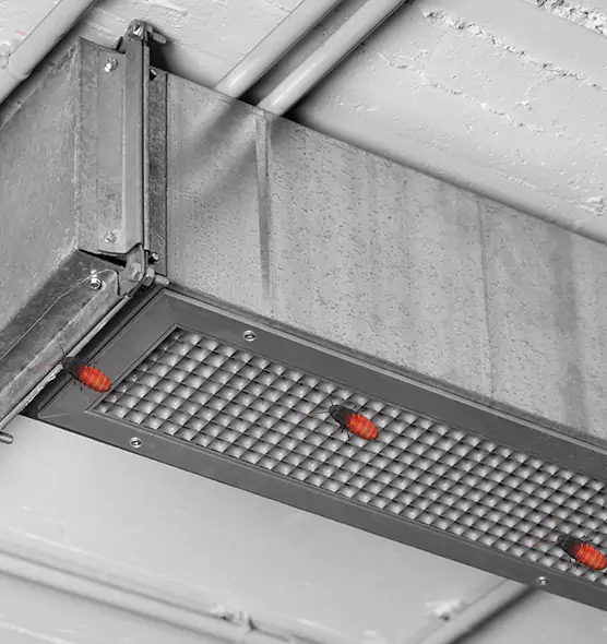 About Air Duct Cockroach Removal in Wichita Falls, TX