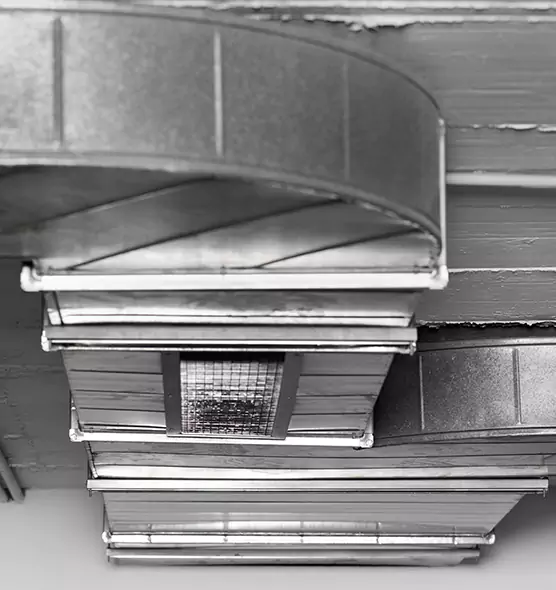 Professional Air Duct Pest Removal in Wichita Falls, TX