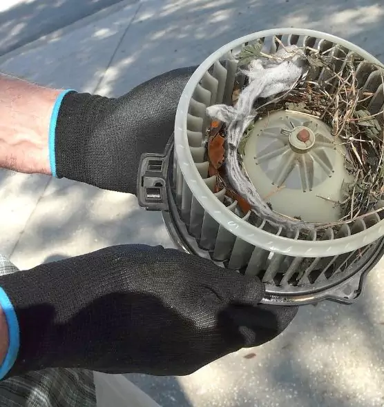 About Air Duct Rat Removal in Wichita Falls, TX