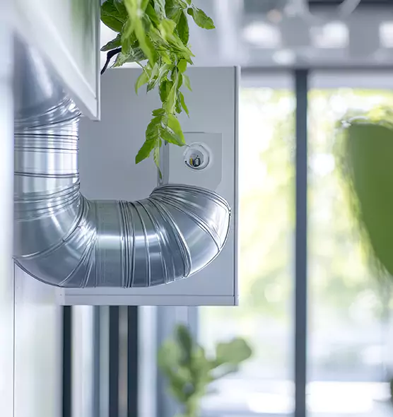 Professional Eco-Friendly Duct Cleaning Services in Wichita Falls, TX